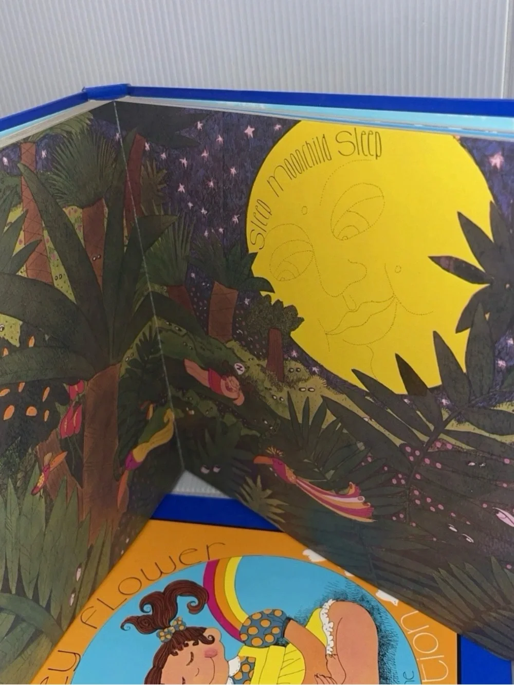 The Spiritual Adventures of Courtney Flower Animated 2 Bookset 1974- Japan